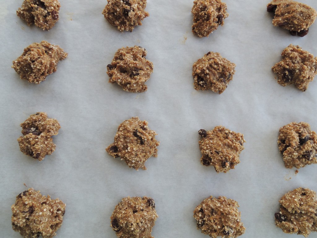 Healthy Oatmeal Raisin Cookies