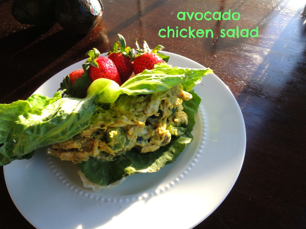 Avocado Chicken Salad